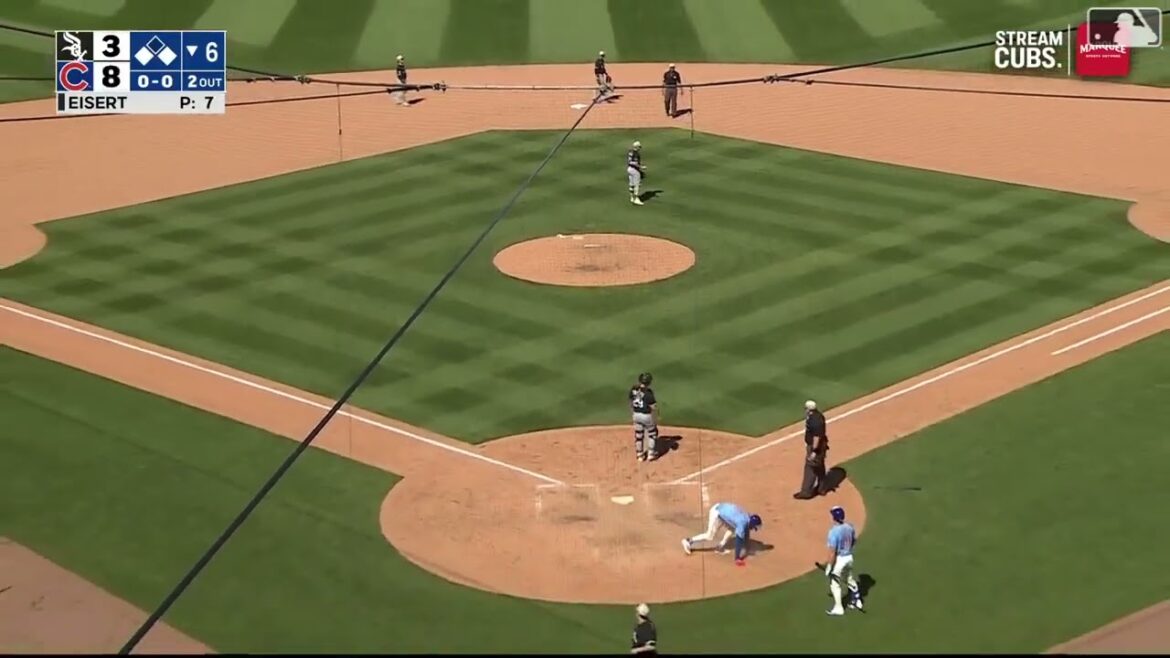 La mouche du sacrifice de Seiya Suzuki