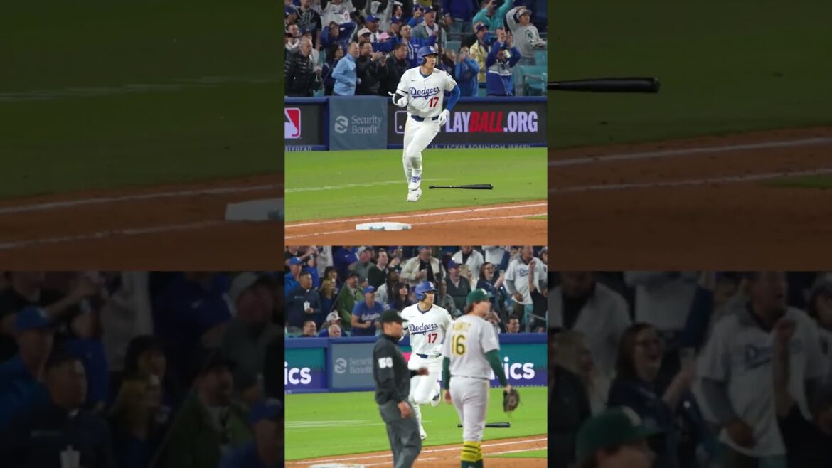 C'est encore une nuit de Bobblehead.