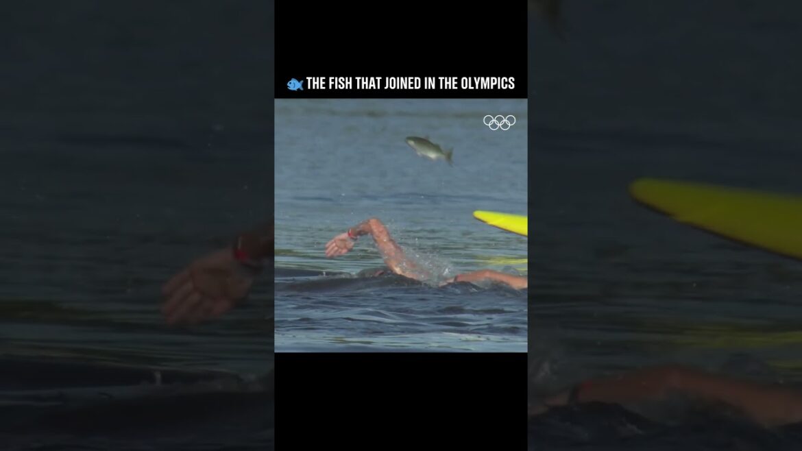 That fish wanted a medal! 🐟🏅