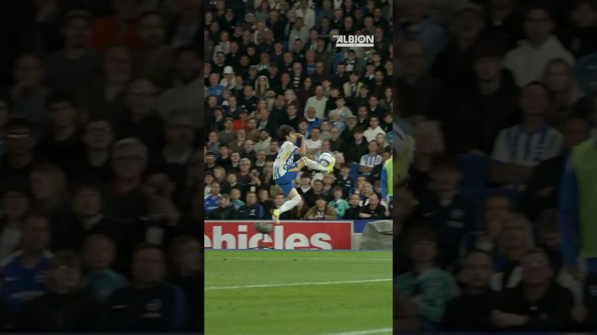 Mitoma's Golden Touch! 😮‍💨 #Mitoma #premierleague