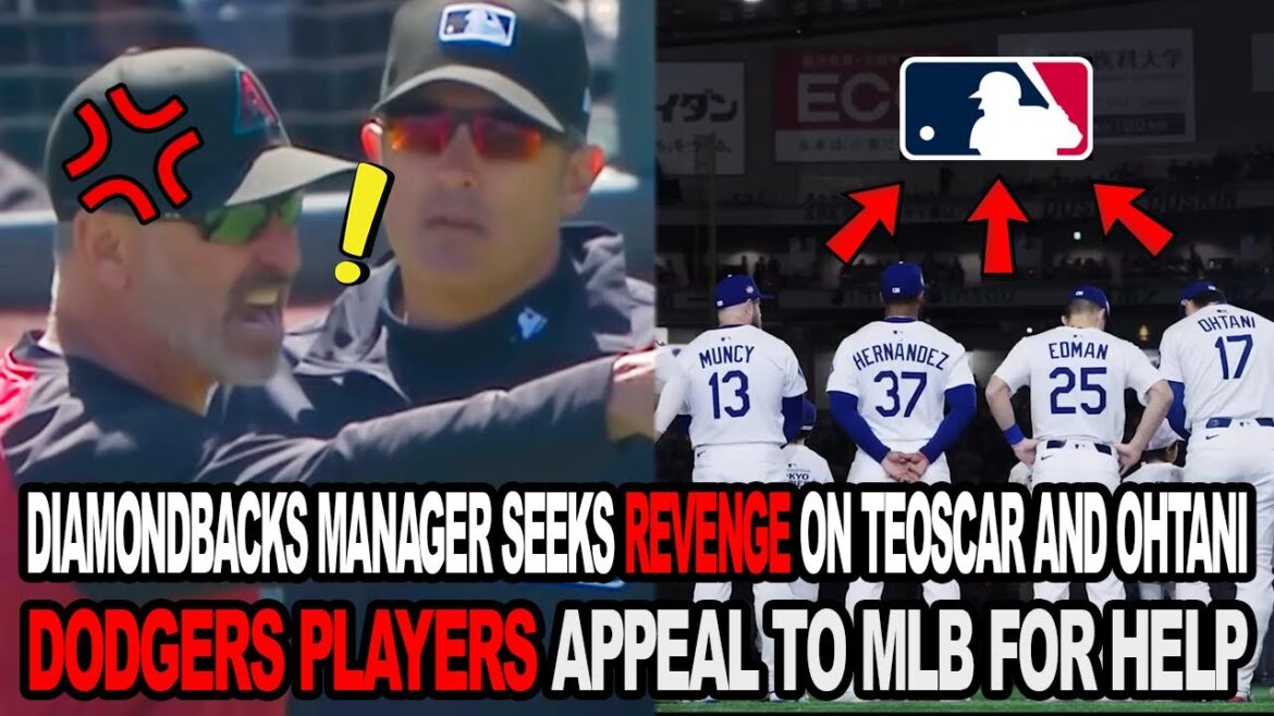 Le manager de Diamondbacks cherche à se venger de Teoscar et d'Ohtani. Les joueurs des Dodgers font appel à la MLB pour obtenir de l'aide