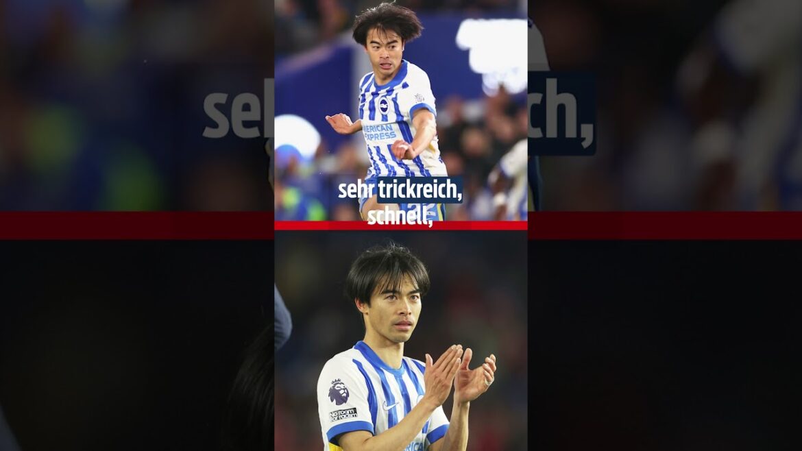 FC Bayern Watches Brighton Star Withoma | #shorts