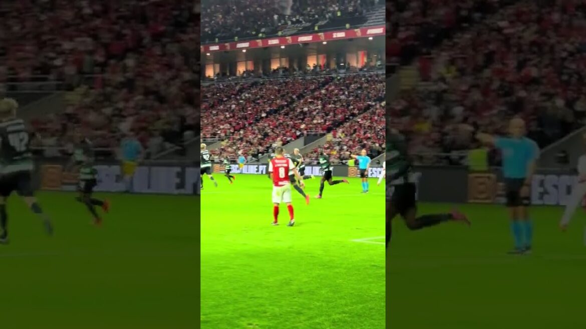 Morita a marqué le premier du redressement des Lions en braga 💪 #scbscp #morita #sporttingcp