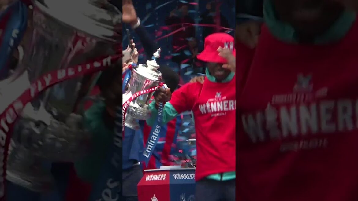 Encore un trophée avec vous😍 #cpfc #crystalpalace #facup