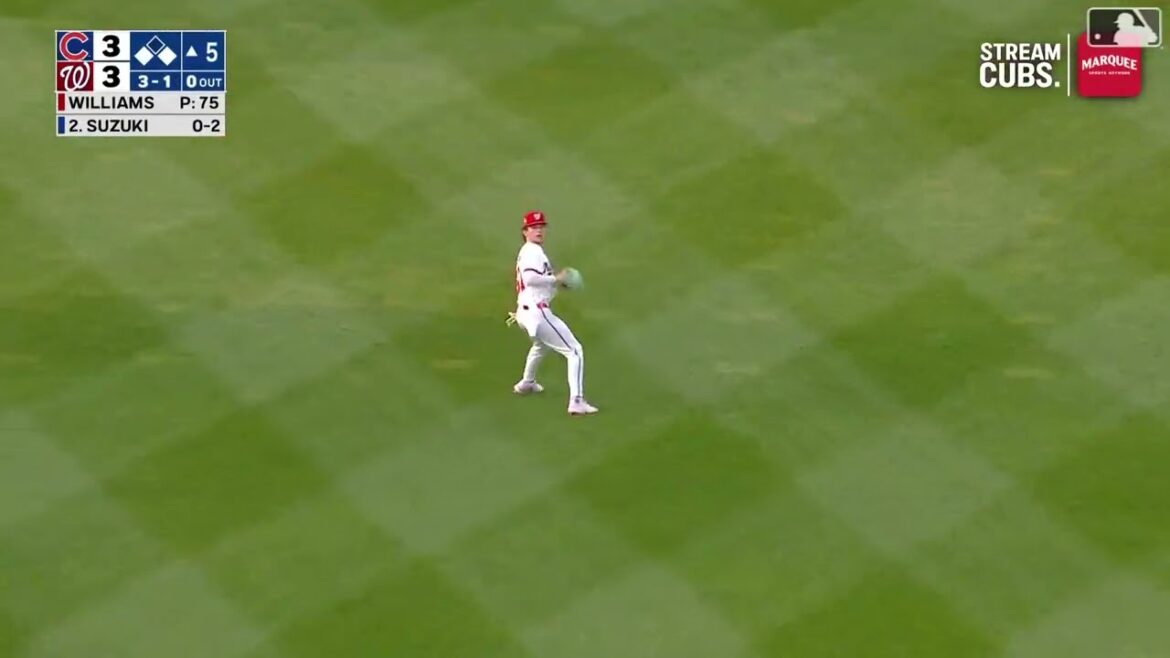 La mouche du sacrifice de Seiya Suzuki