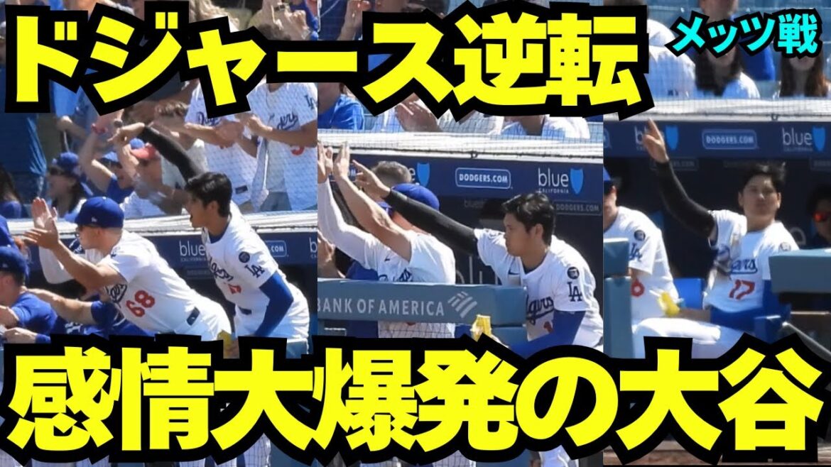 Les Dodgers se retournent et le rire émotionnel regorge d'Otani Shohei sur le banc! Otani se pencha en avant à côté de la future batterie et se réjouit![Images locales]6 juin 2025 contre les Mets