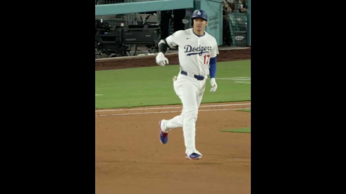 Shohei Ohtani a obtenu juste assez de ce terrain 😎
