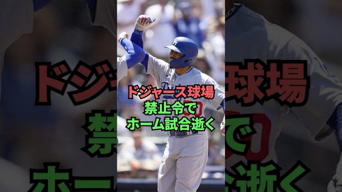 Le Dodgers Stadium Ban mourra le match à domicile