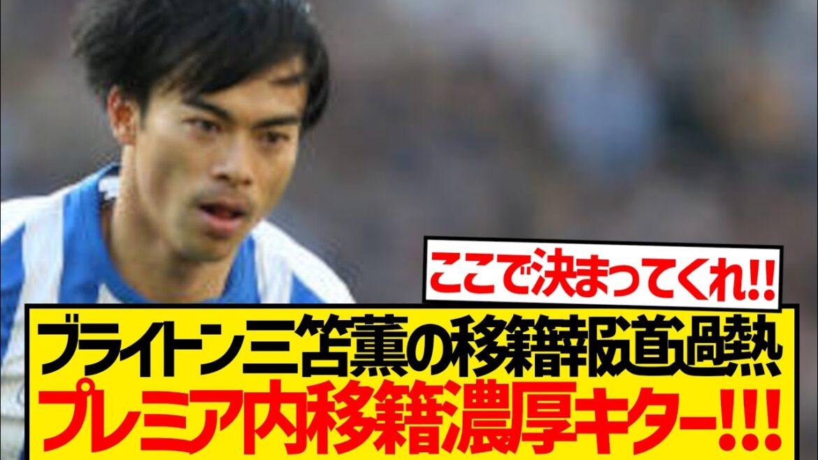 [Super Breaking News]Brighton Mito Kaoru passe enfin au Premier Big 6! ! ! ! ! !