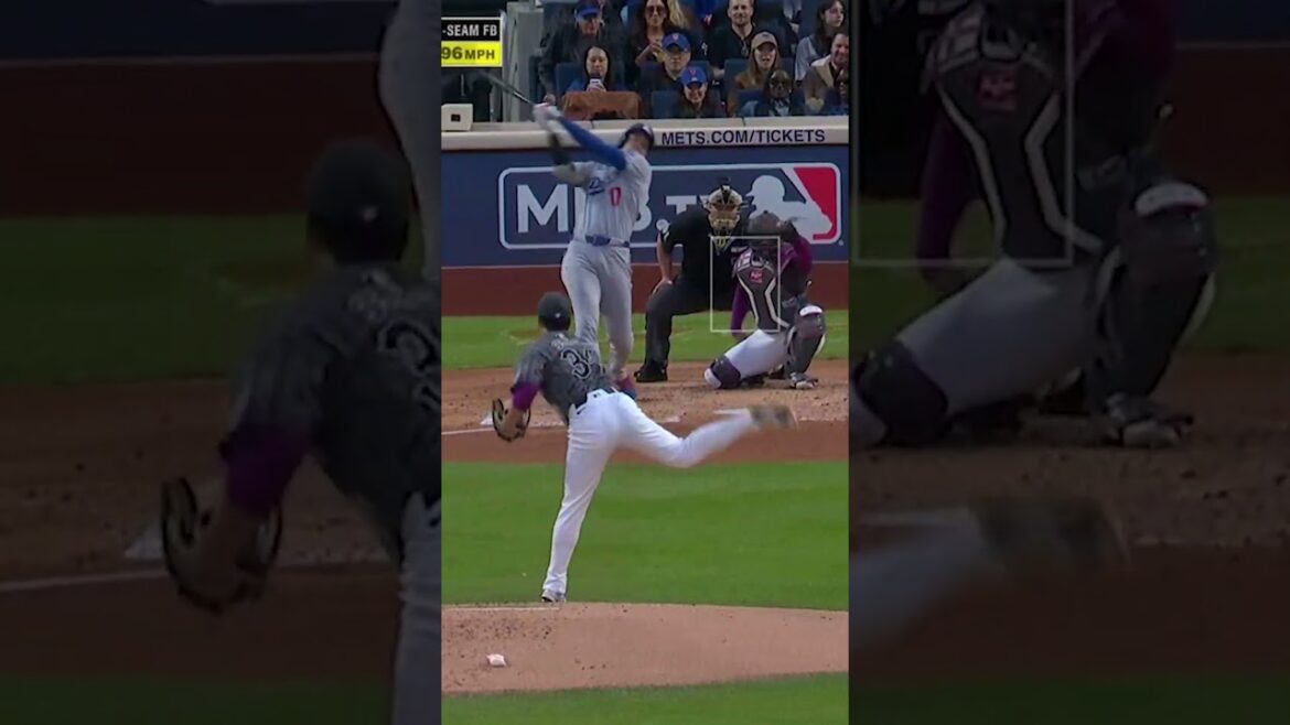 Kodemus de Sena plus heureux. 🔸ube