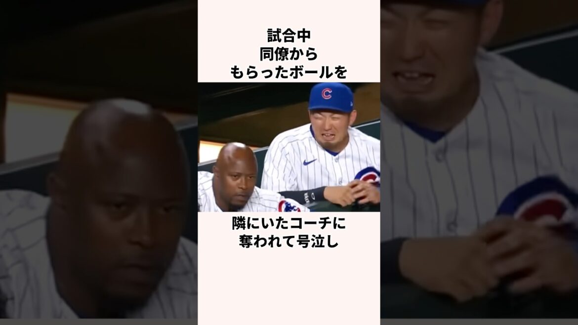 Trivia About Suzuki Seiya "J'ai été troublé par les changements dans l'environnement" #Baseball #Otani Shohei #Professional Baseball