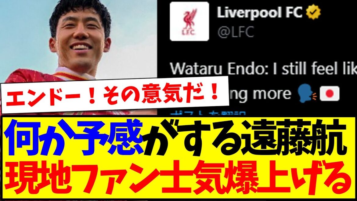 [Les réactions de l'étranger]voici la réaction des partisans locaux de Liverpool qui ont le sentiment qu'ils ont un moral étouffé lol