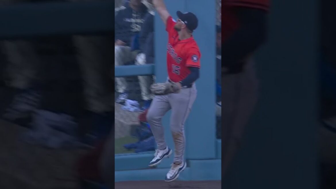 Vue d'aigle. 👀🔥 Shohei Ohtani a vu quelque chose d'étrange dans les jardins. #Mlbenfox