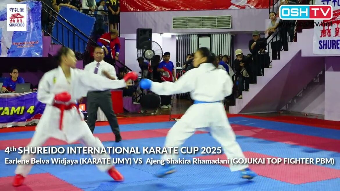 Earle Va Widjaya VS célèbre étonnamment la 4e République interne de Sheaidido