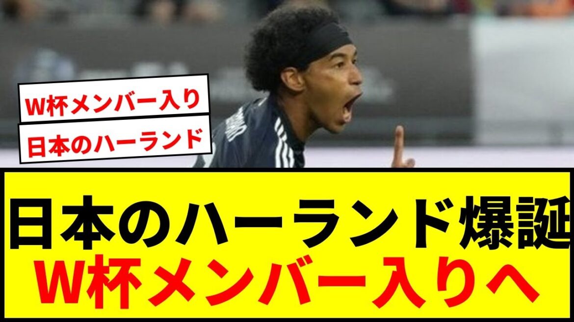[Choquant]Le Haaland au Japon deviendra membre de la Coupe du monde après avoir remporté le championnat d'Hiroshima, et "depuis Sakai Hiroki" Tall SB[la "récolte" du championnat E-1 et des "défis" des expéditions d'automne, et le "crash" de la Coupe du monde du Nord et de l'Amérique centrale "]]