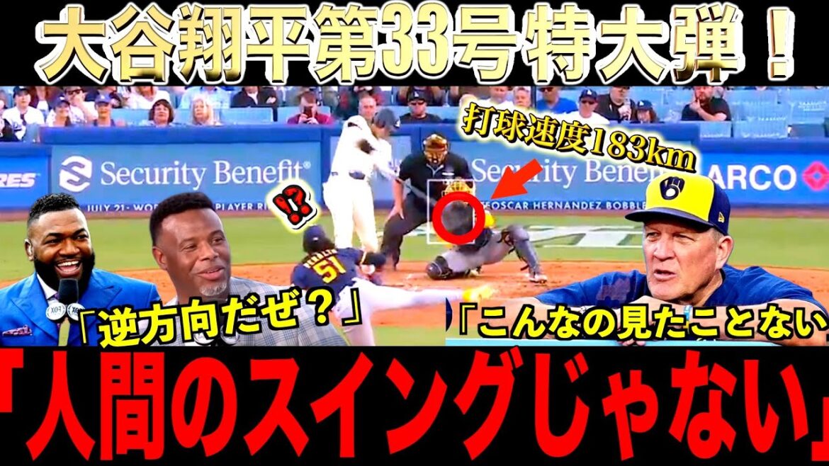 Le 33e home run spécial d'Otani Shohei est très apprécié par la légende!