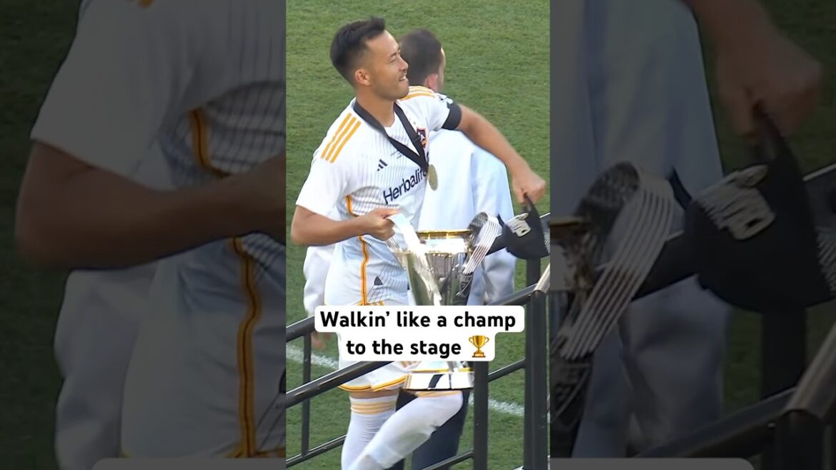 Champion certifié Yoshida Swagger 😏🏆 Champion certifié Yoshida Swagger 😏🏆