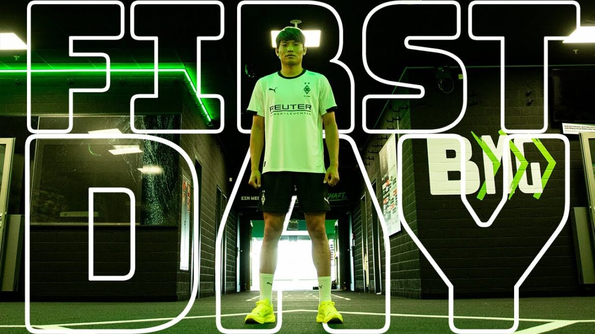 Hé, Shuto ✌️ | Premier jour | Fohleninsights