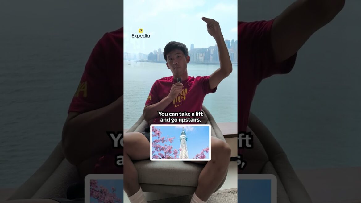 Conseils de Tokyo avec wataru endo 🇯🇵🏯🍱