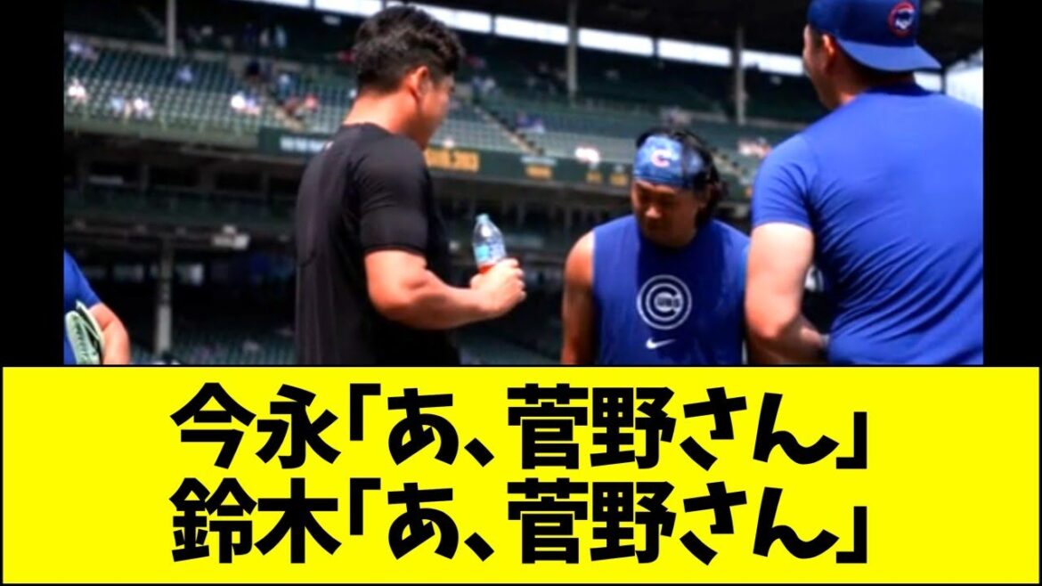Kanno (anciens géants), Imanaga (ancienne Baystars), Suzuki (ancienne carpe)