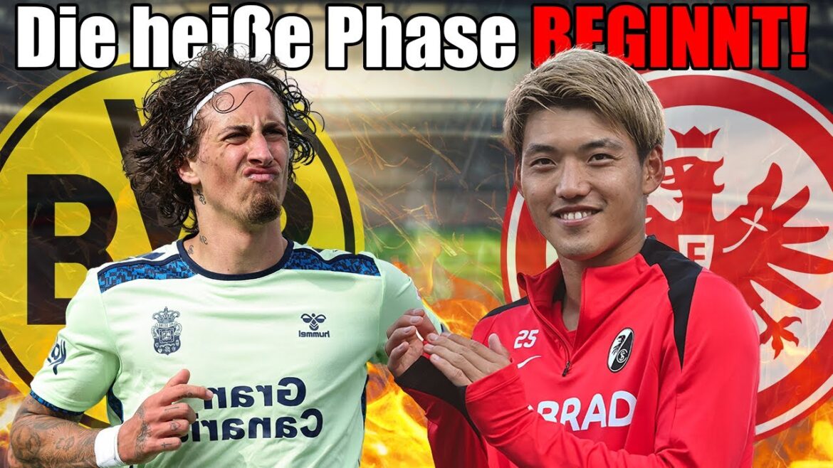 Dernières détails: Doan Zu Frankfurt! BVB: Mise à jour Silva & Sancho! VFB Vieira Limite de douleur!