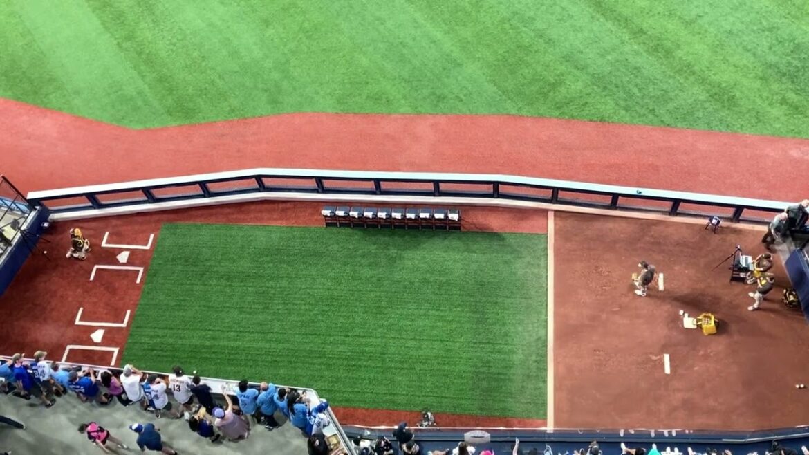 Darvish, Cefat, Faried, oui pratique de tangage