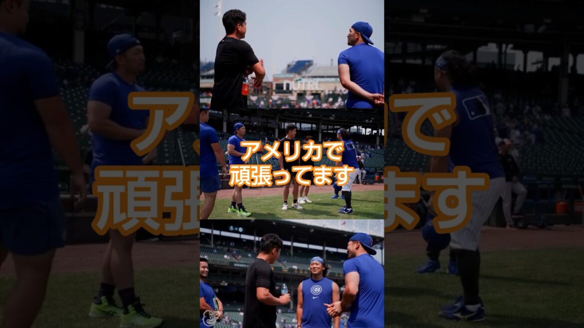 Sugano Tomoyuki Imanaga Shota Suzuki Seiya Sugano Tomoyuki Imanaga Shota Suzuki Seiya