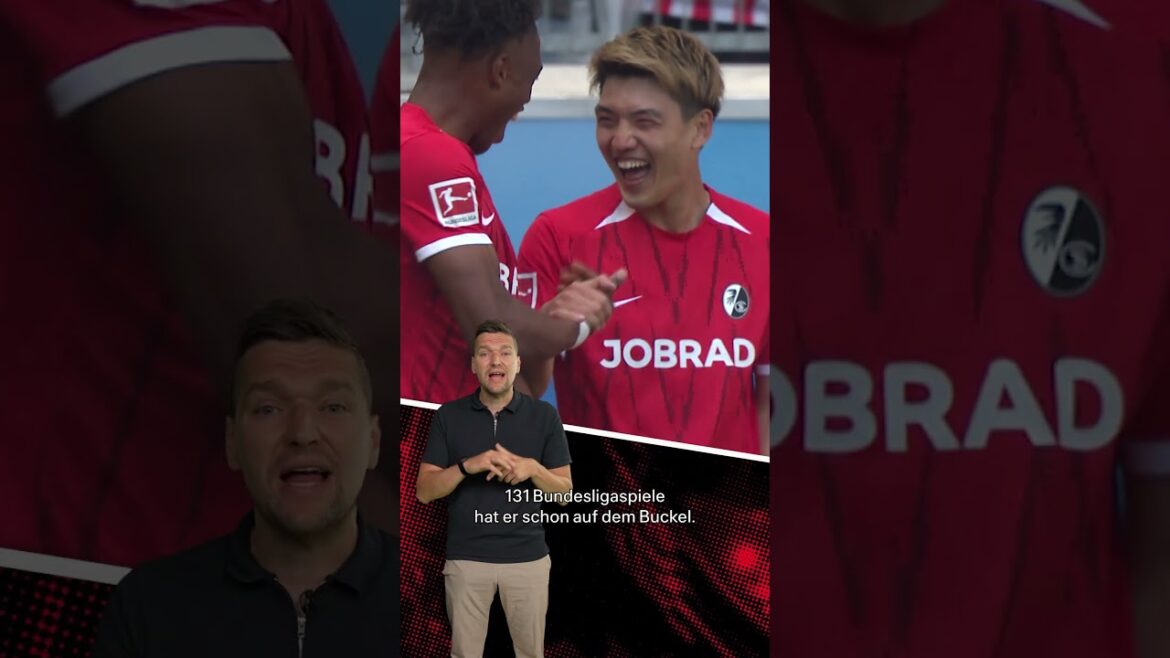 🇯🇵 Bienvenue Ritsu! Bien que tu sois là 🦅