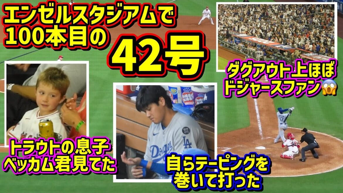 Numéro 42‼ ourdter de Neto's Two Home Runs, Otani est un succès 😠 Je regardais Beckham 😂[séquences locales]8/11 VS Angels Freeway Series Shohei Ohtani Homerun