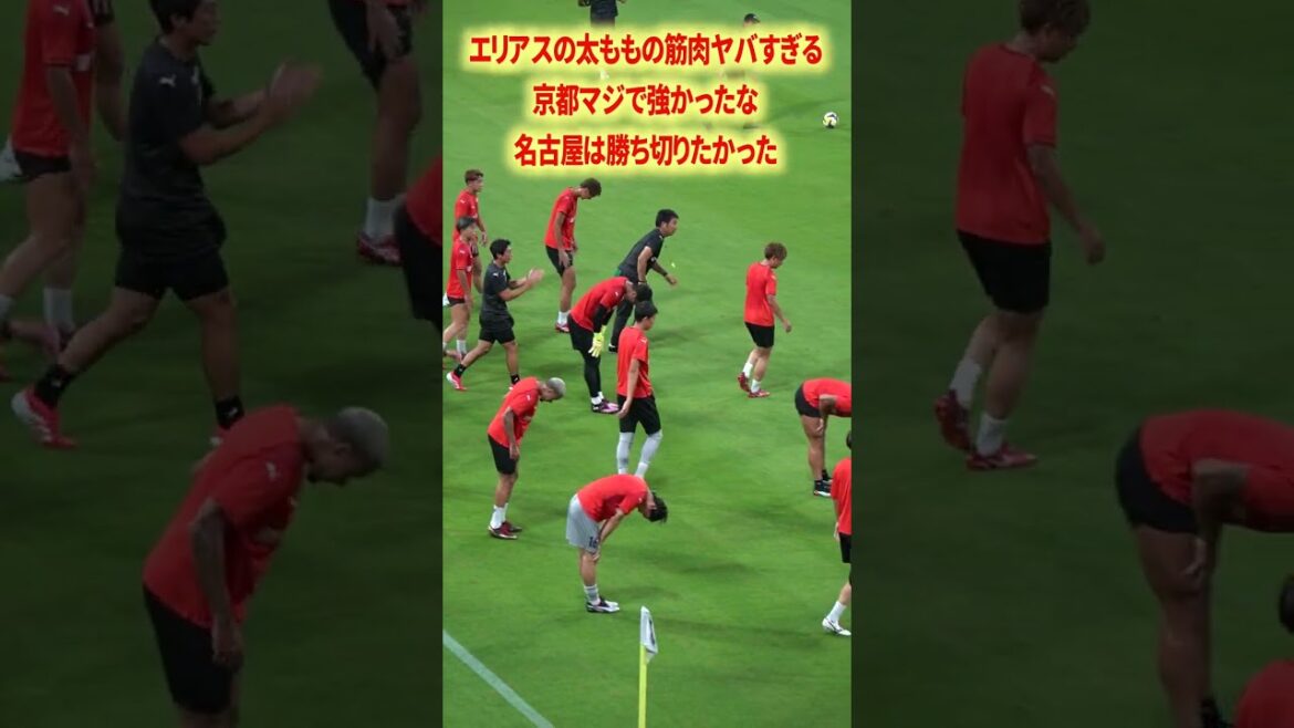 Les cuisses d’Elias sont grosses #nagoya grampus #pisano #schmidt daniel #junker #yamagishi yuya #izumi ryuji #matheus #inagaki sho #japan équipe de football #j ligue Les cuisses d'Elias sont grosses #nagoya grampus #pisano #schmidt daniel #junker #yamagishi yuya #izumi ryuji #matheus #inagaki sho #japan équipe de football #j ligue