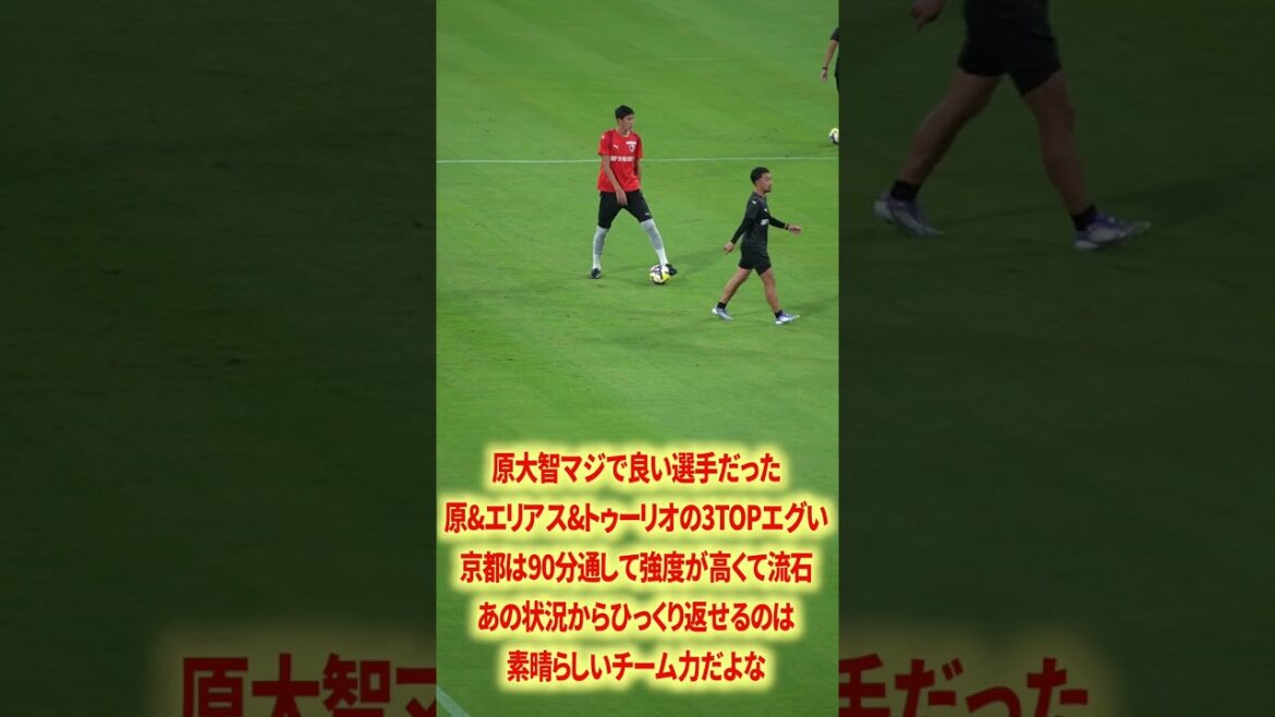 Hara Daichi est vraiment bon #nagoya grampus #pisano #schmidt daniel #junker #yamagishi yuya #izumi ryuji #matheus #inagaki sho #japan équipe de football #j ligue