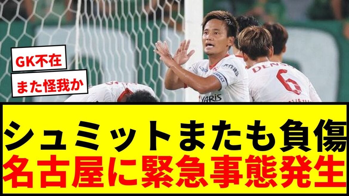 [Urgence]Le gardien de but de Nagoya Grampus Schmidt est blessé et substitué ... Pisano est remplacé et inquiet de son état[Emperor's Cup]