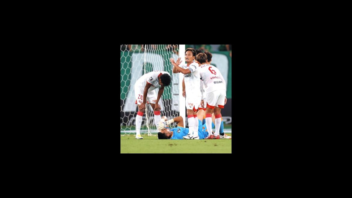 Une urgence est en place à Nagoya Grampus! Le gardien de but Schmidt se blesse