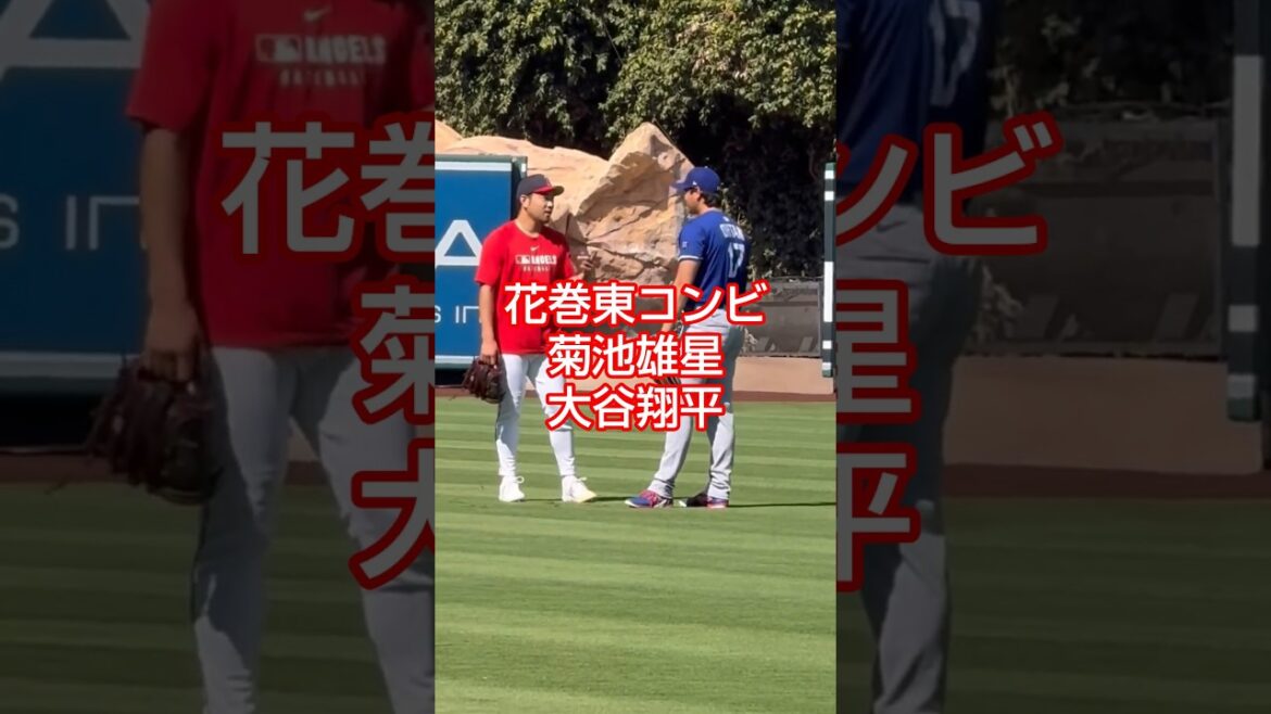 Kikuchi Yusei Otani Shohei