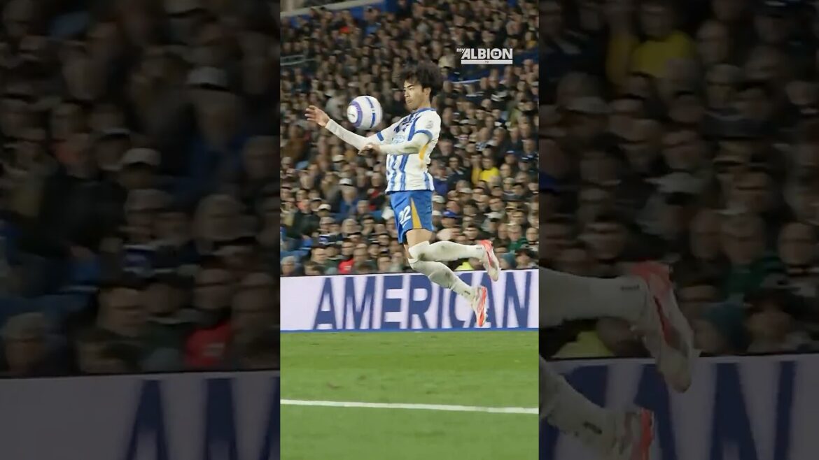 Mitoma utilise sa poitrine pendant 90 secondes ⏳ #brightonandhovealbion #Mitoma