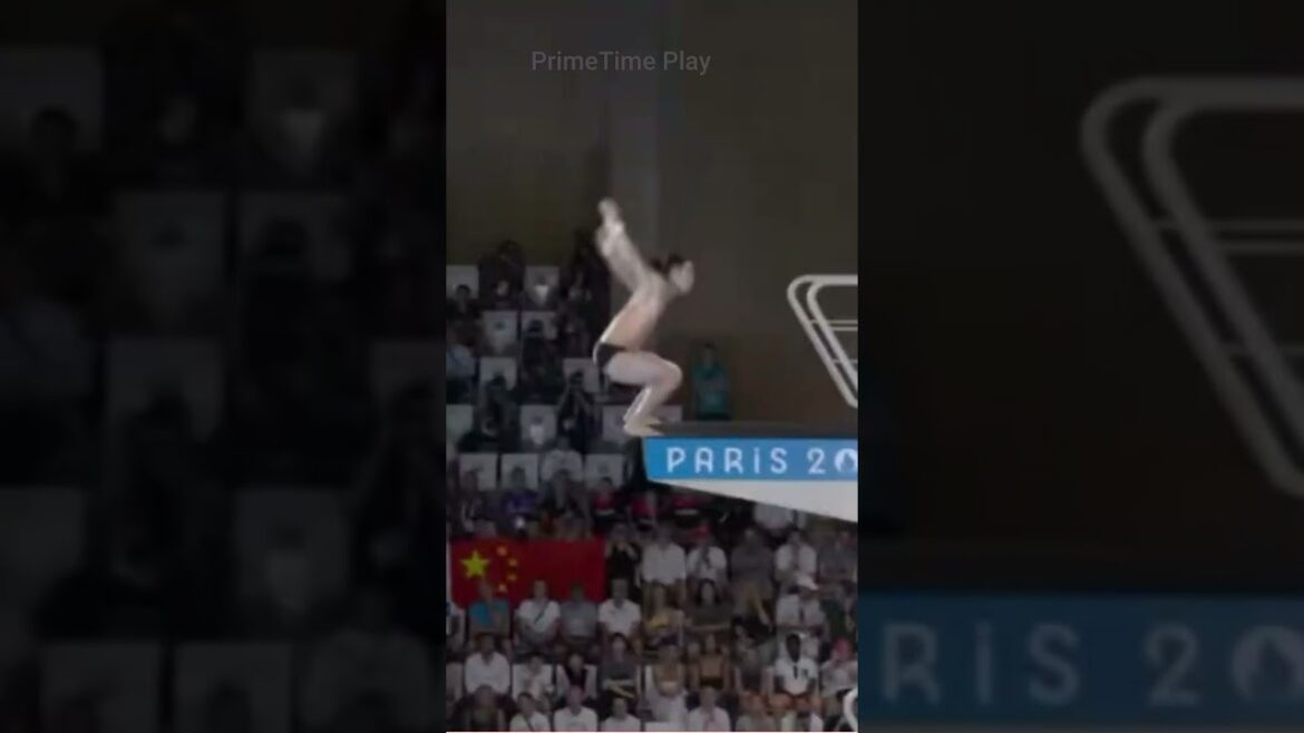 La vérité surprenante sur la plongée olympique personne ne vous dit La vérité surprenante sur la plongée olympique personne ne vous dit