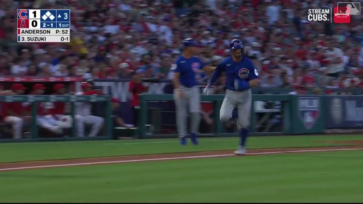 La mouche du sacrifice de Seiya Suzuki La mouche du sacrifice de Seiya Suzuki