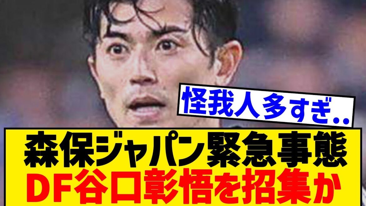 [Breaking News]Le défenseur Taniguchi Shogo sera-t-il appelé dans l'urgence du Japon Moriyasu? ?