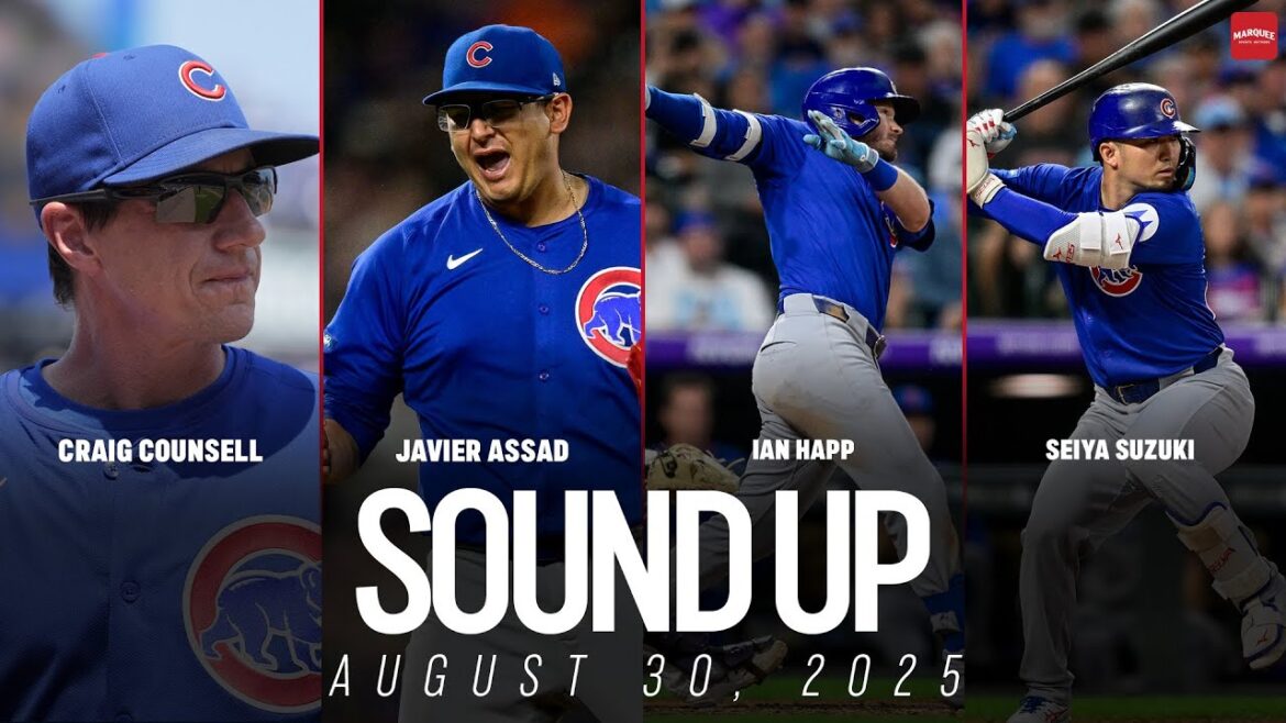 Entretiens des Cubs: Craig Counsell, Javier Assad, Ian Happ, Seiya Suzuki | Réseau sportif de marquee