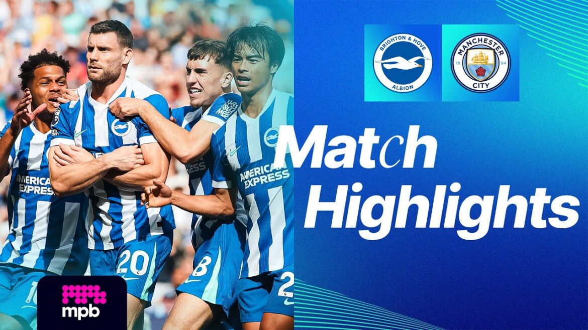 Faits saillants | Brighton contre Man City | Premier League