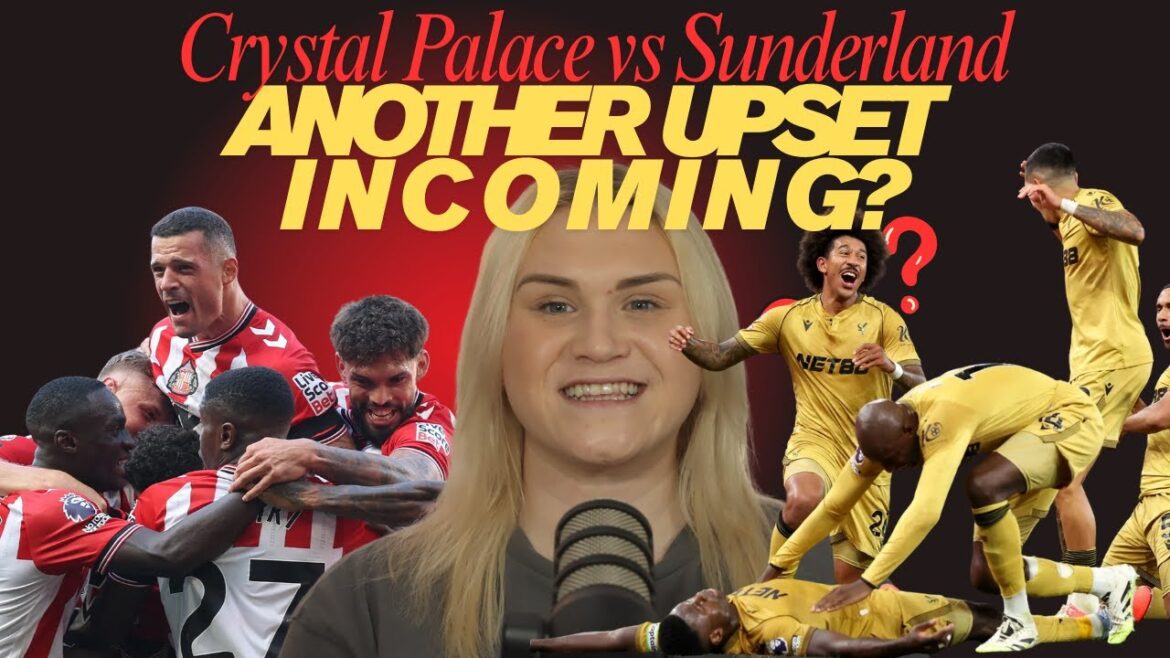 Crystal Palace vs Sunderland Aperçu | The South Stand Clothing - Premier League GW4