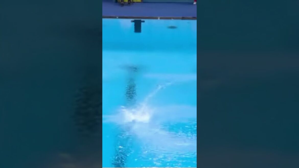 L'art de la plongée - les légendes olympiques en action!