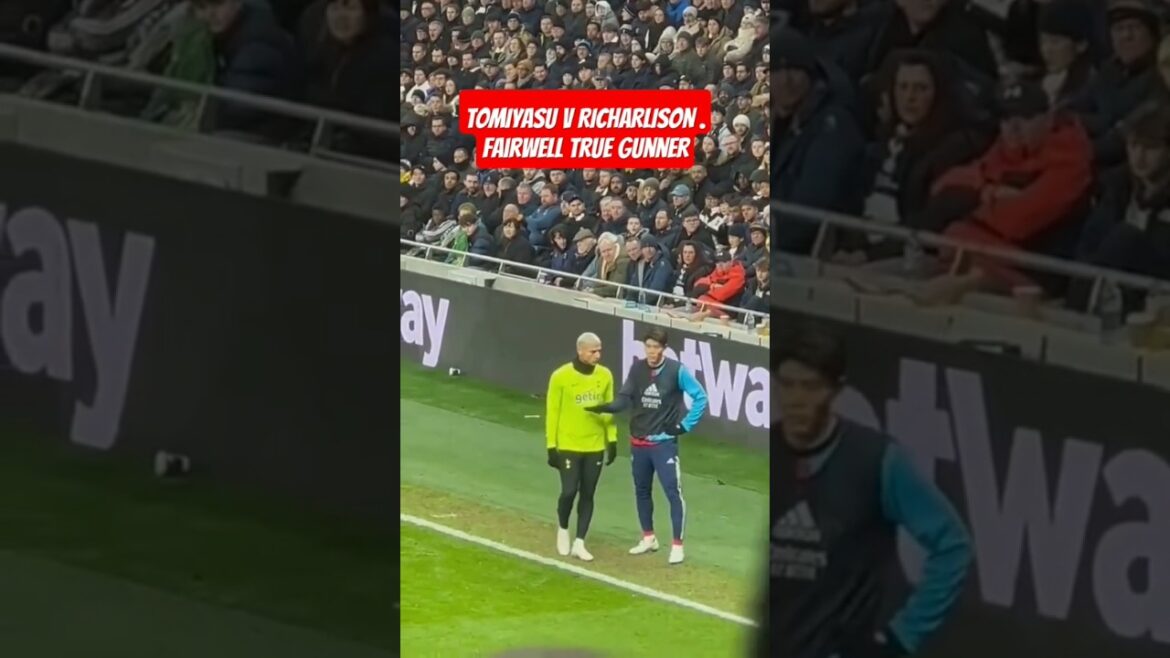 Tomiyasu contre Richarlison. Fairwell True Gunner #Trend #football #viral #arsenal #tomiyasu #ytshort