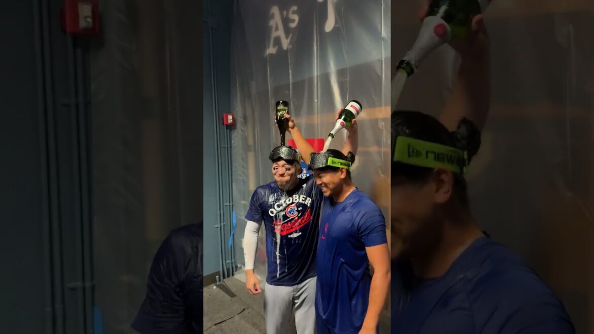 Seiya Suzuki et Shota Imanaga célèbrent leur première apparition #PostSeason! 👏