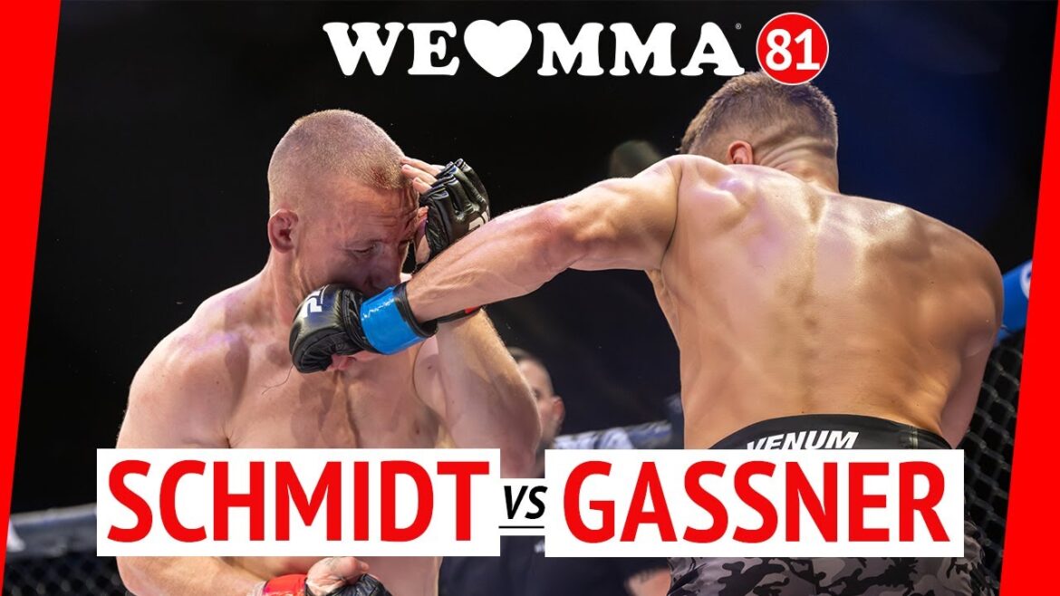 Erik Schmidt vs Daniel Gassner | Fight complet | WLMMA 81
