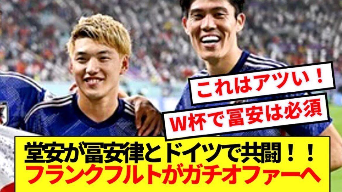 [Breaking News]Tomiyasu pourrait potentiellement se battre avec Doan et l'Allemagne! ! Contactez-nous depuis Francfort! !