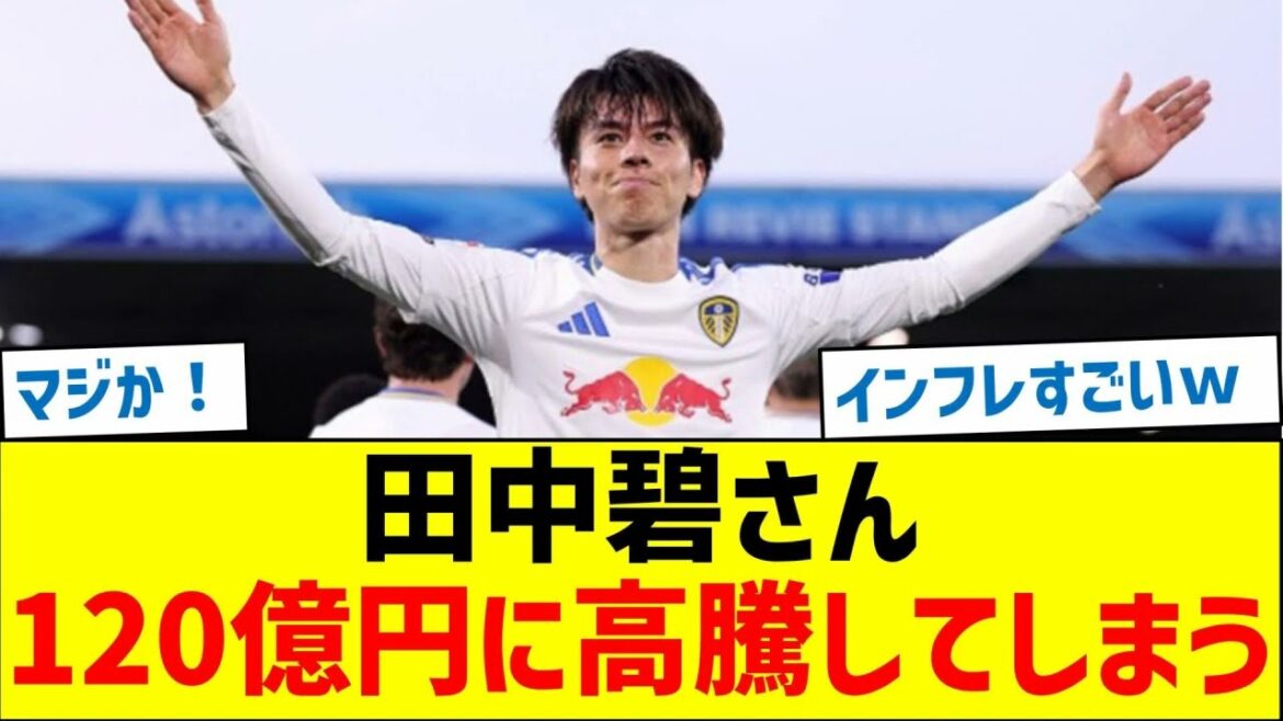 [Trop haute note]Tanaka Aoi s'élève à 12 milliards de yens