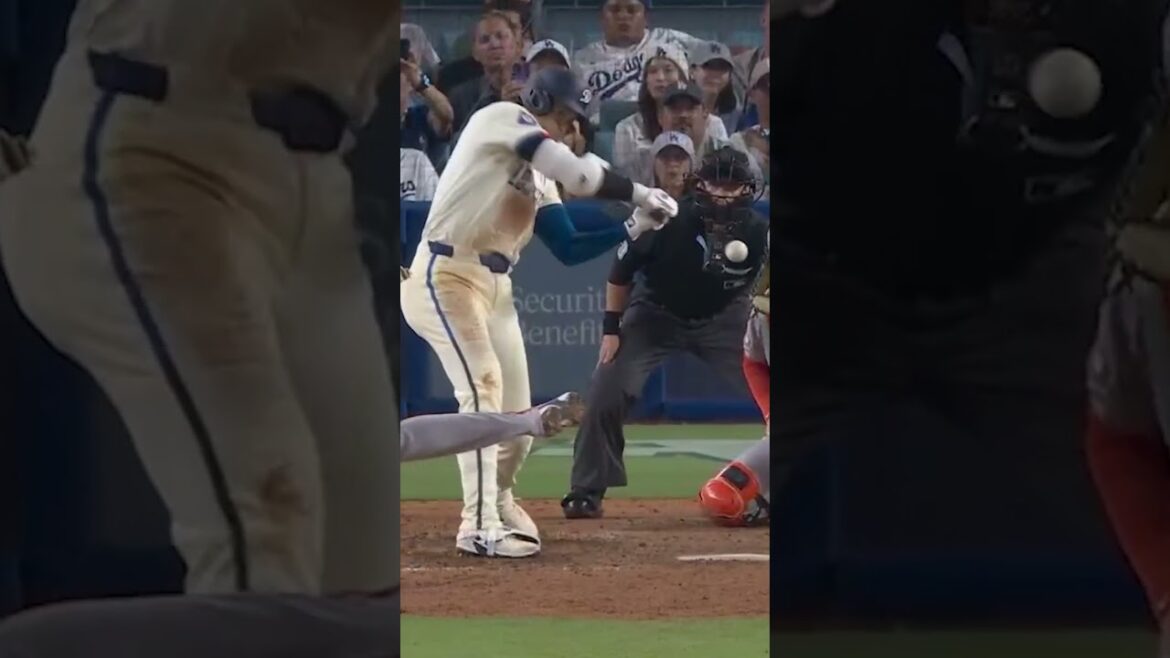 NON. 53 pour shohei ohtani 💙