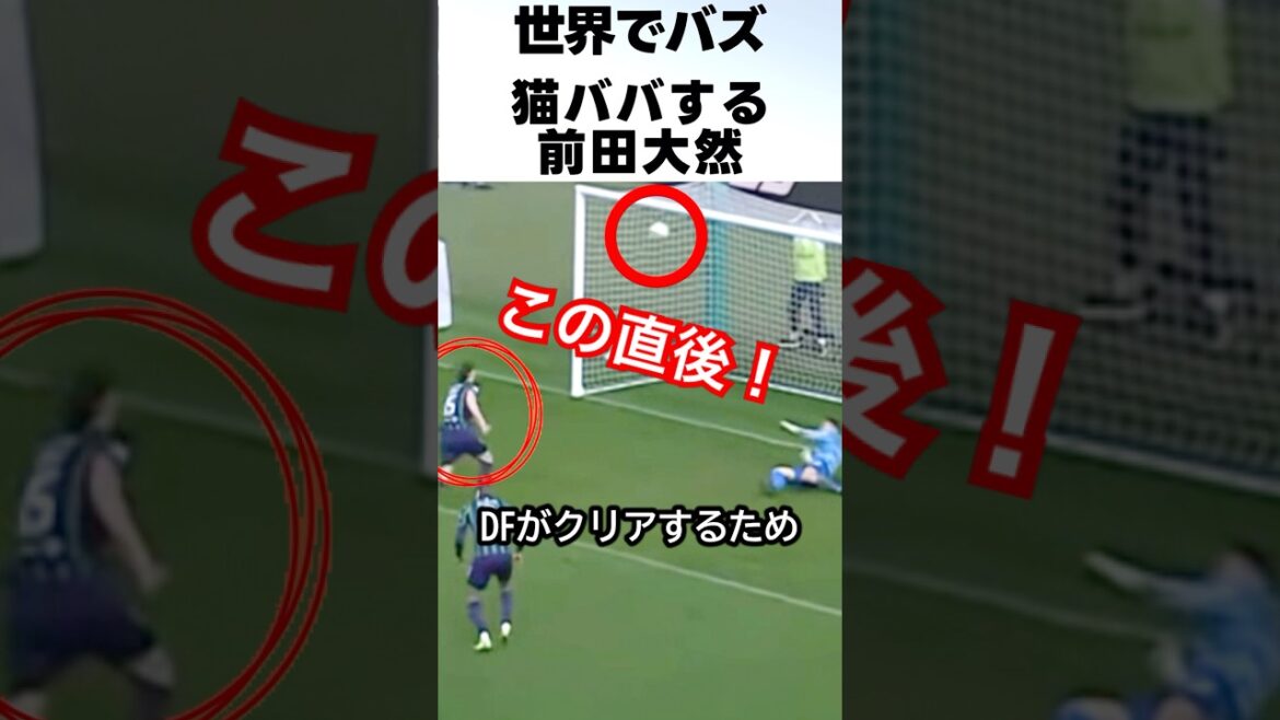 L’objectif de chat-baba de Maeda Daizen est si rapide qu’il est si cool! ! #Soccer #maeda daizen L'objectif de chat-baba de Maeda Daizen est si rapide qu'il est si cool! ! #Soccer #maeda daizen