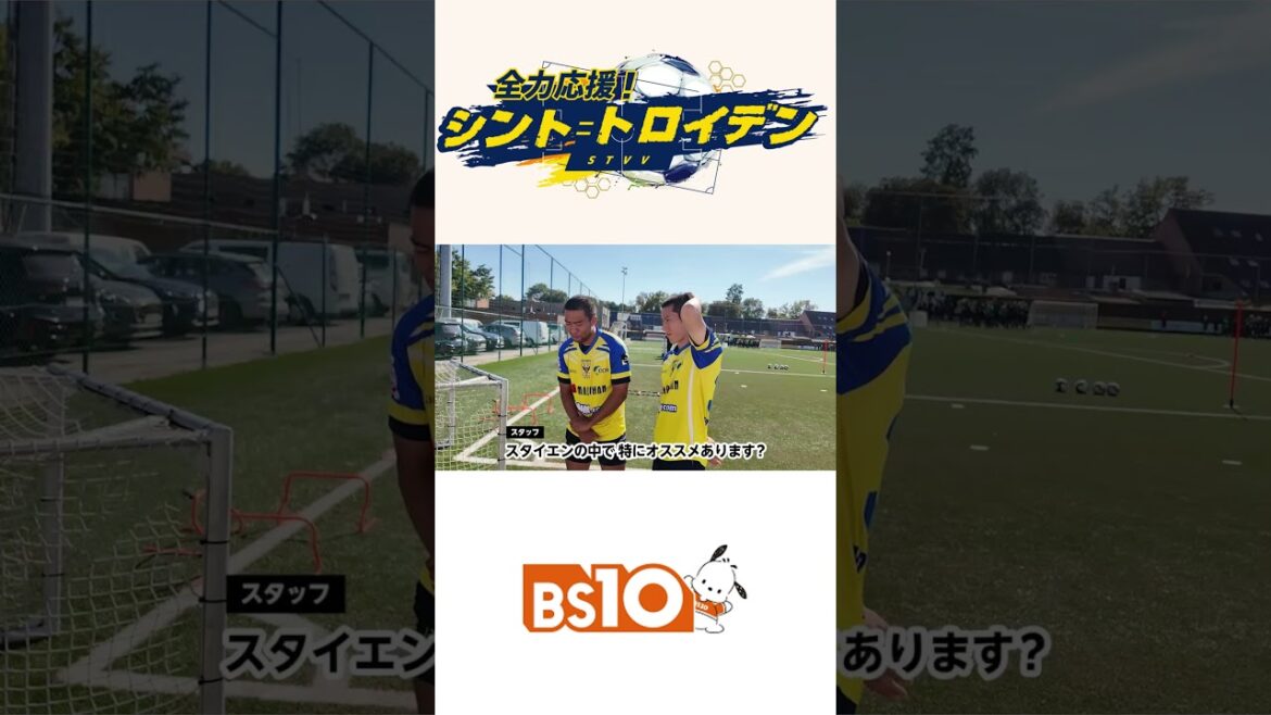 [Sint Troyden]BS10 #hata Taiga ・ #Matsuzawa Kaito Q & A